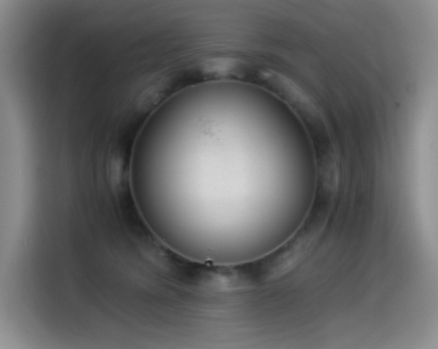 X0000114500420200910191255