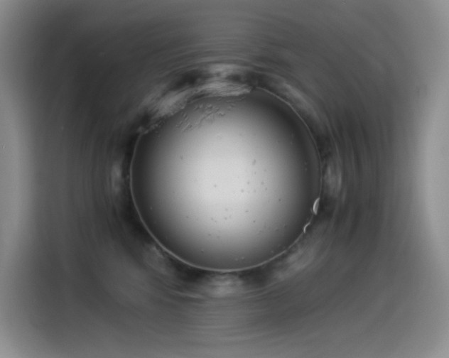 X0000114500424200910191255