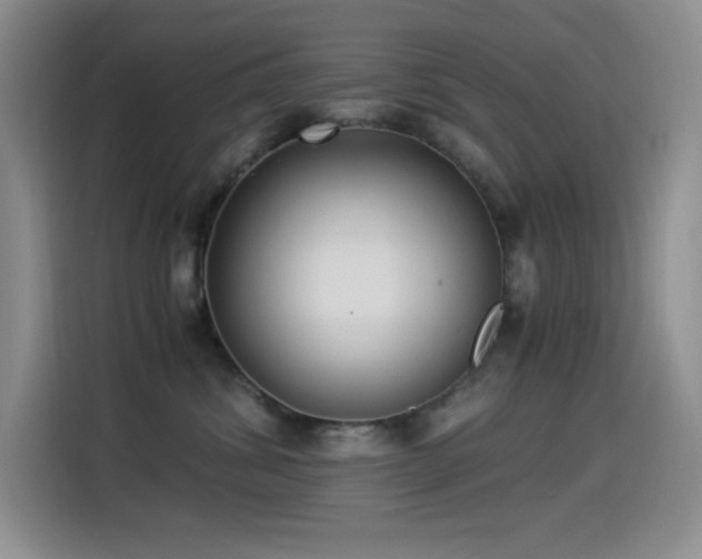 X0000114500428200910191254
