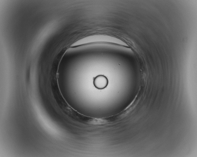 X0000114500429200910191254
