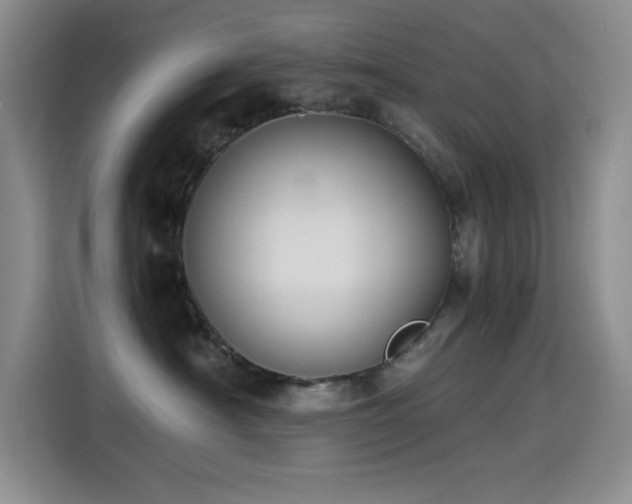 X0000114500430200910191254