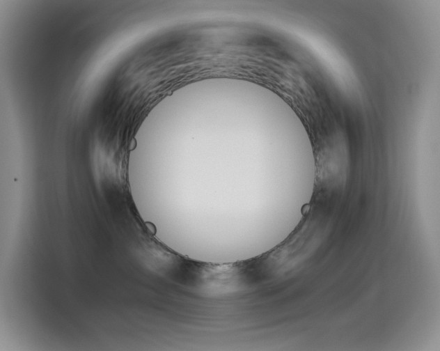 X0000114500431200910191254