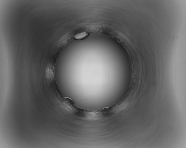 X0000114500432200910191254
