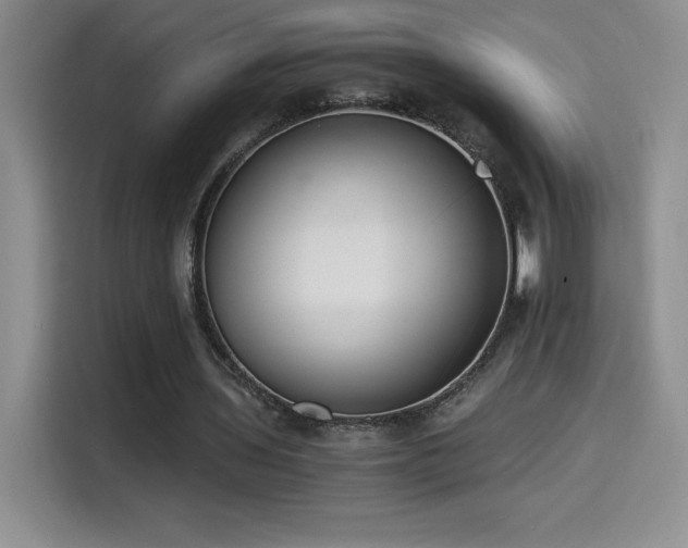 X0000114500435200910191254