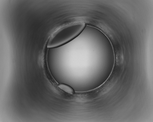 X0000114500436200910191254