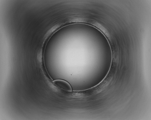 X0000114500437200910191254