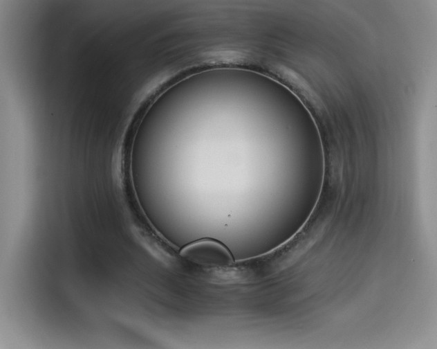 X0000114500439200910191254