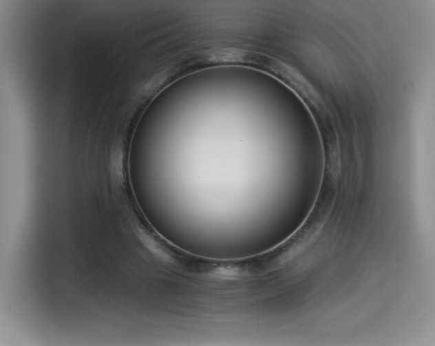 X0000114500441200910191254