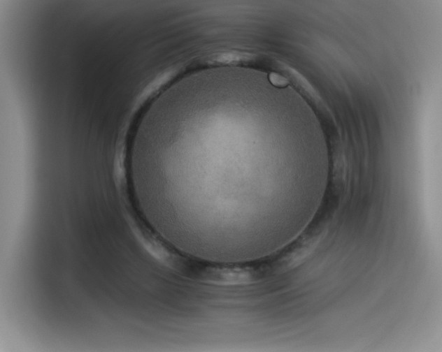 X0000114500443200910191254