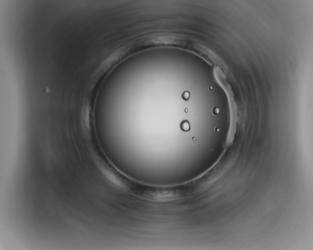 X0000114500445200910191254
