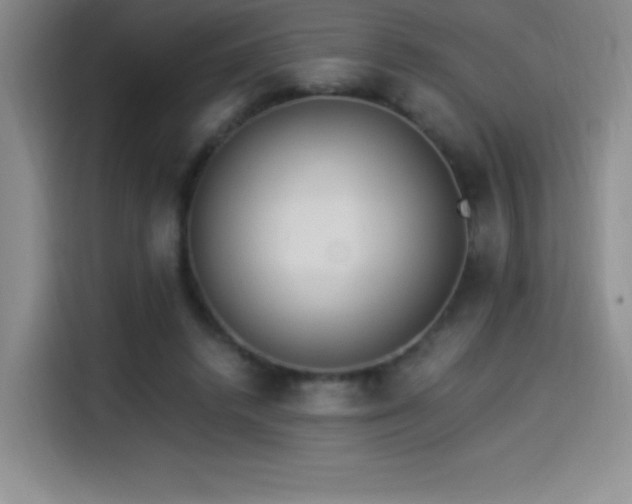 X0000114500448200910191254