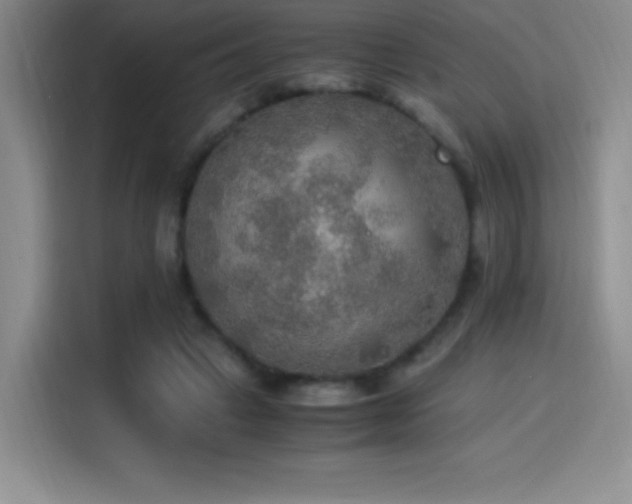 X0000114500449200910191254
