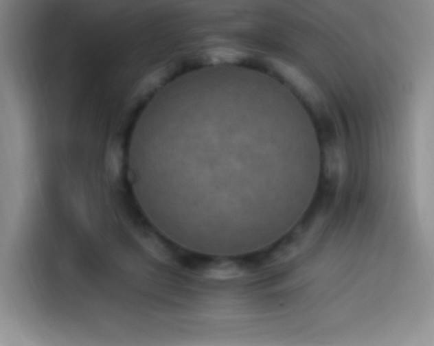 X0000114500451200910191254