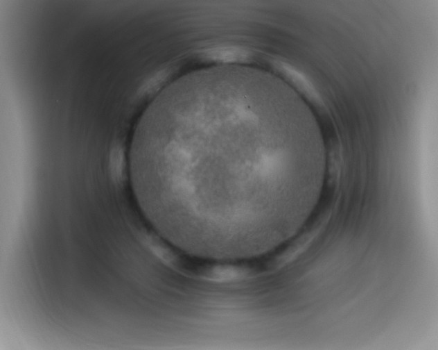 X0000114500453200910191254