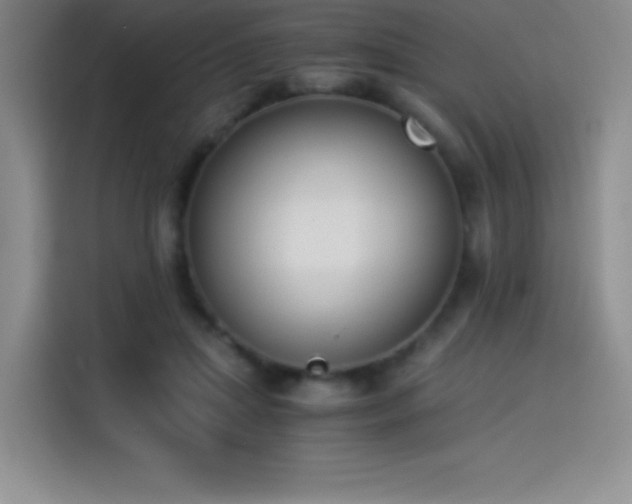 X0000114500455200910191254