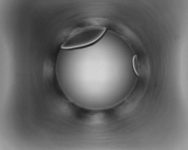 X0000114500456200910191254