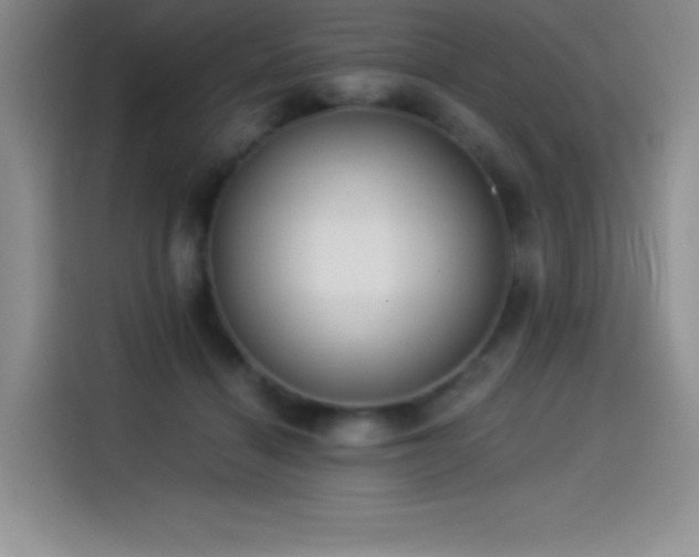 X0000114500460200910191254