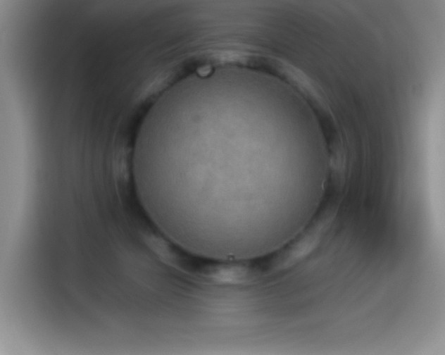 X0000114500462200910191254