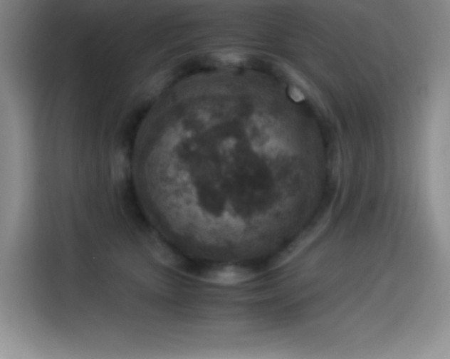 X0000114500467200910191254