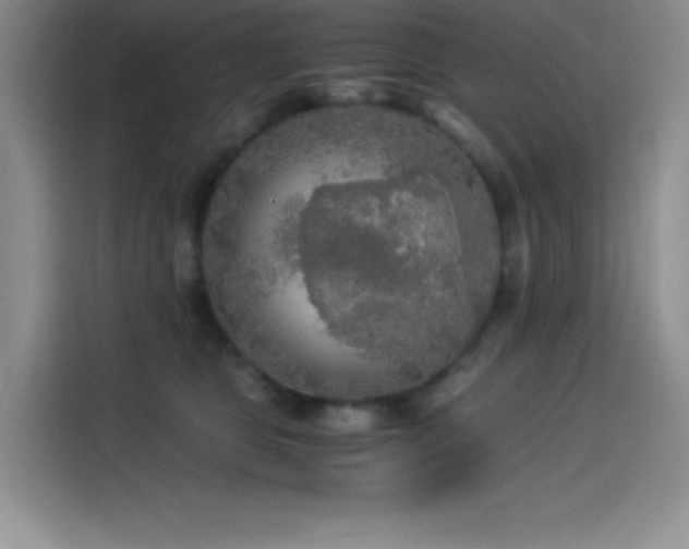 X0000114500469200910191254