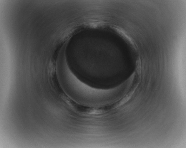 X0000114500471200910191254