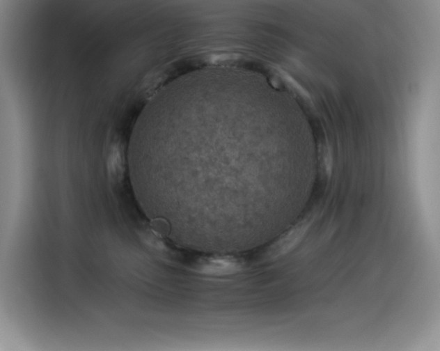 X0000114500475200910191254