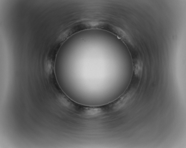 X0000114500476200910191254