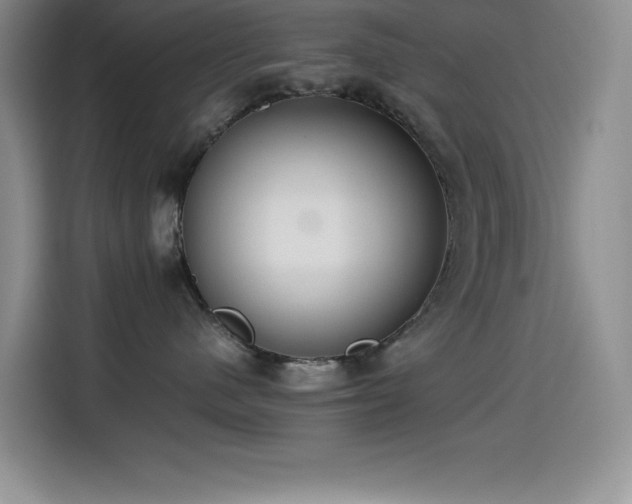 X0000114500480200910191254