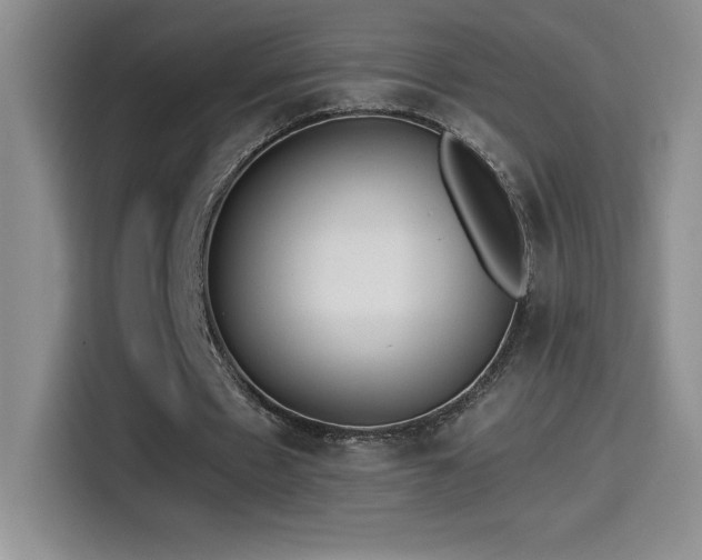 X0000114500481200910191254