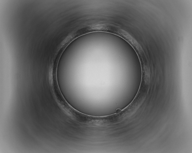 X0000114500482200910191254