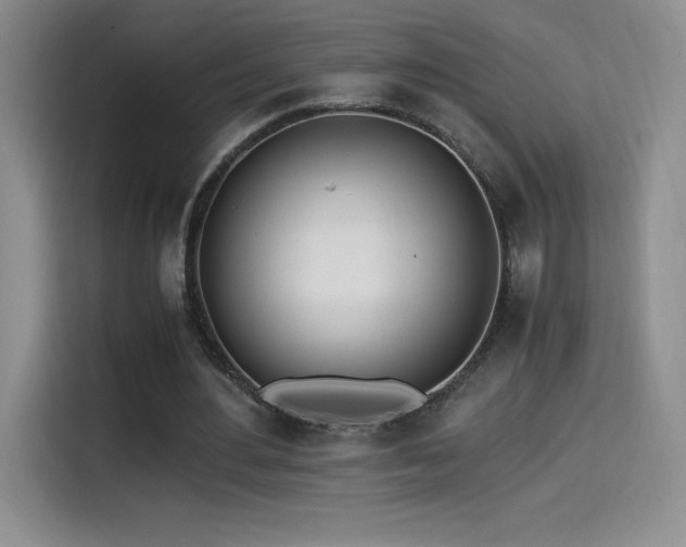 X0000114500484200910191254