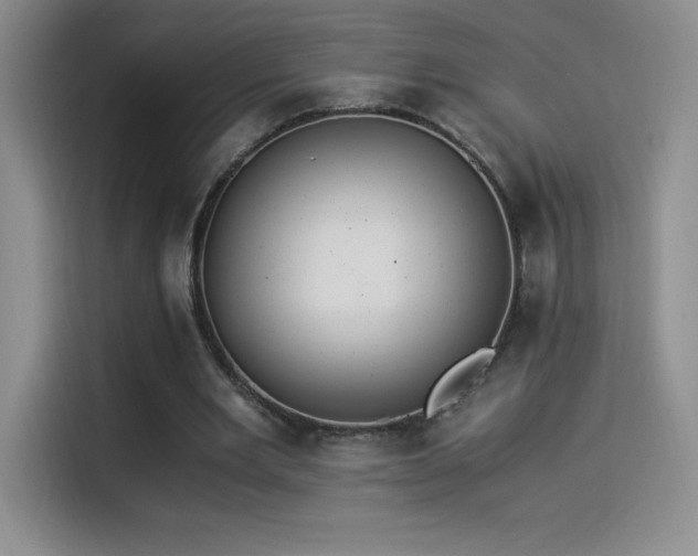 X0000114500485200910191254