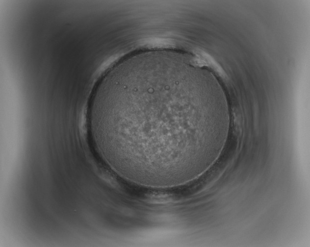 X0000114500487200910191254