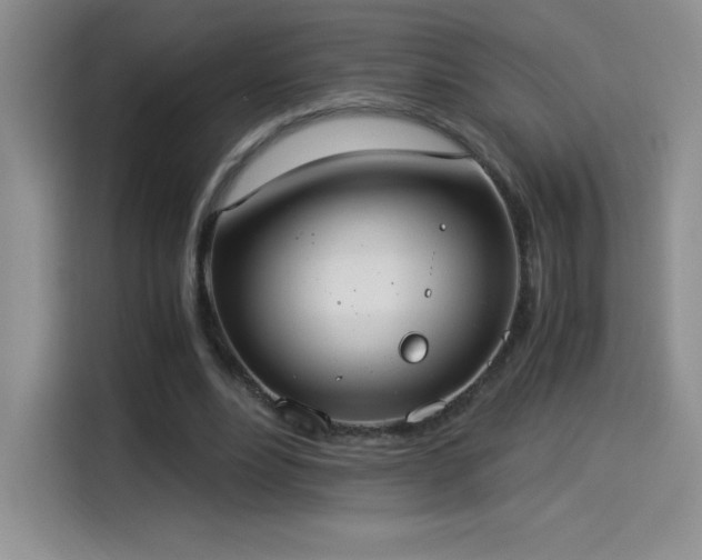 X0000114500488200910191254
