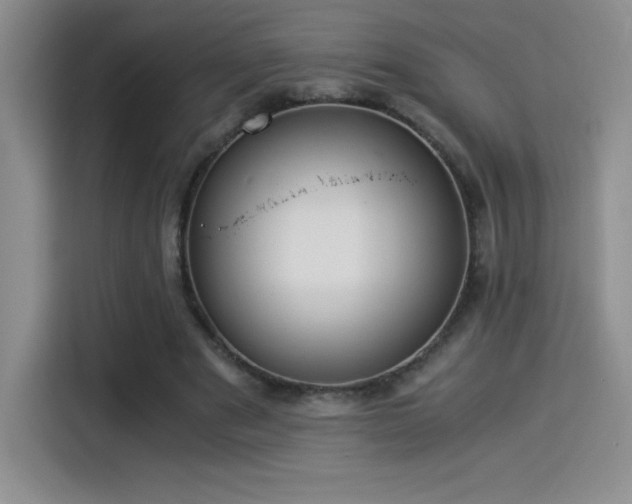 X0000114500489200910191254