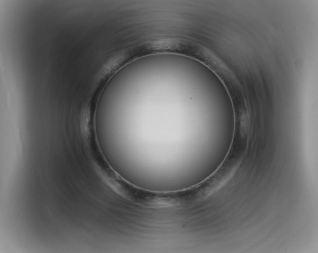 X0000114500490200910191254