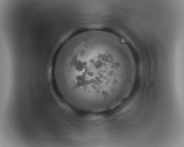 X0000114500491200910191254