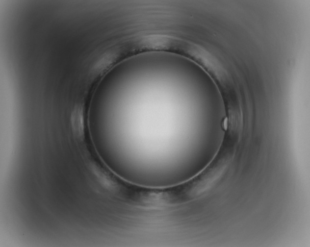 X0000114500493200910191254