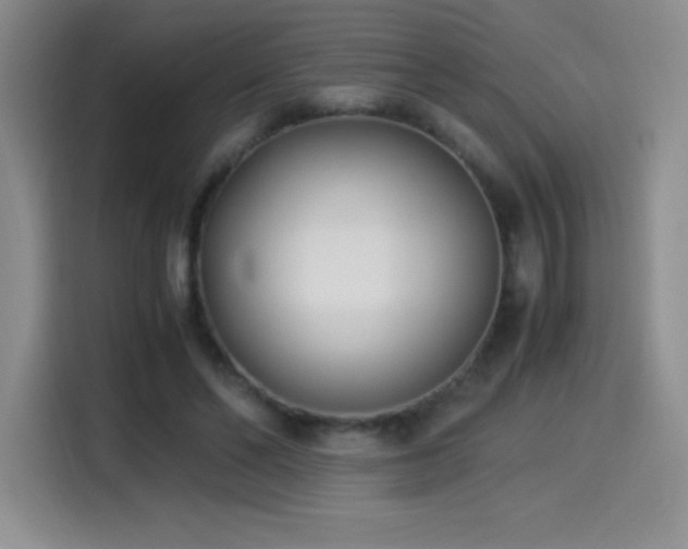 X0000114500494200910191254