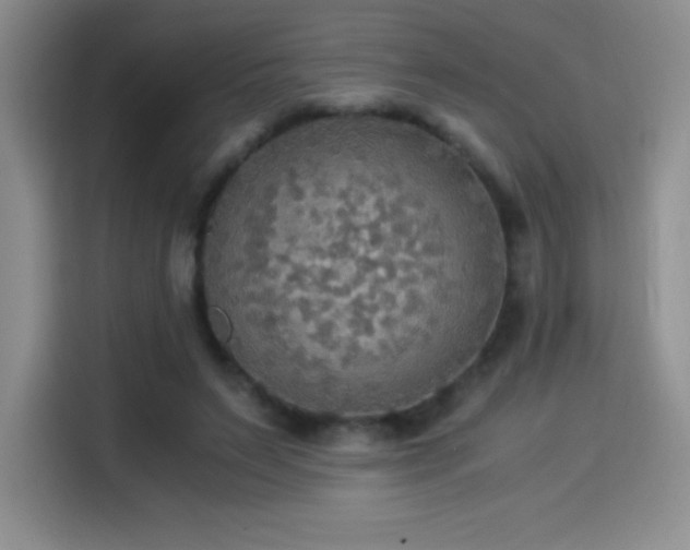 X0000114500495200910191254