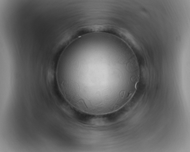 X0000114500499200910191254