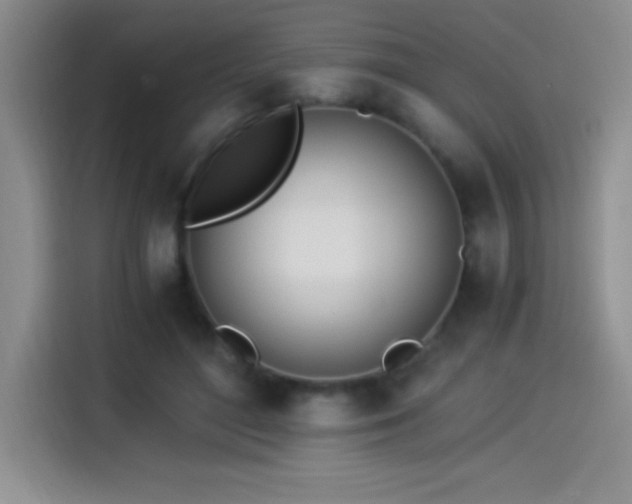 X0000114500500200910191254