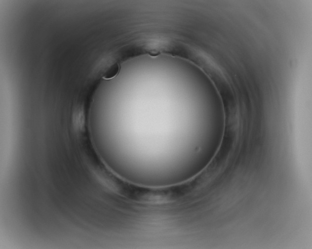 X0000114500502200910191253