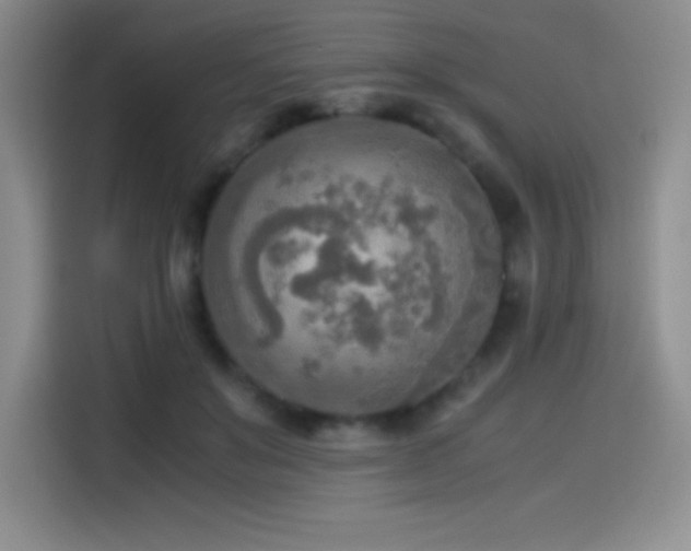 X0000114500503200910191253