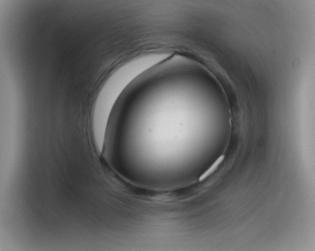 X0000114500505200910191253