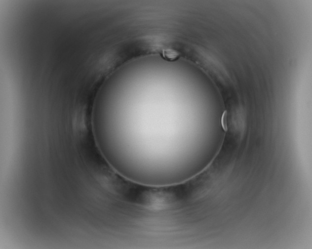 X0000114500512200910191253
