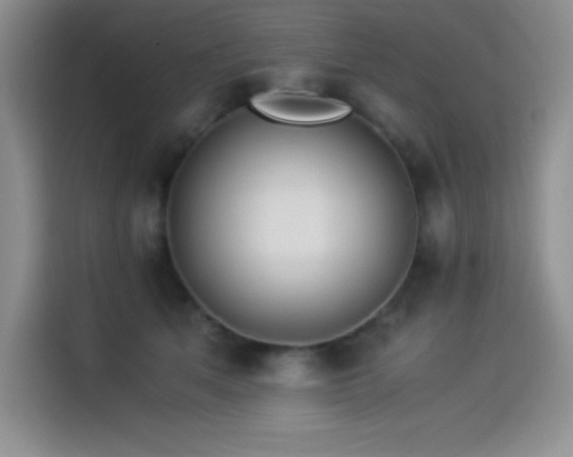 X0000114500513200910191253