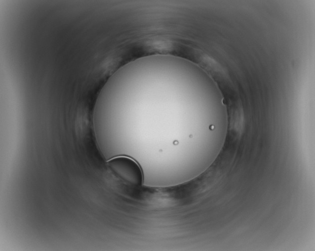 X0000114500518200910191253