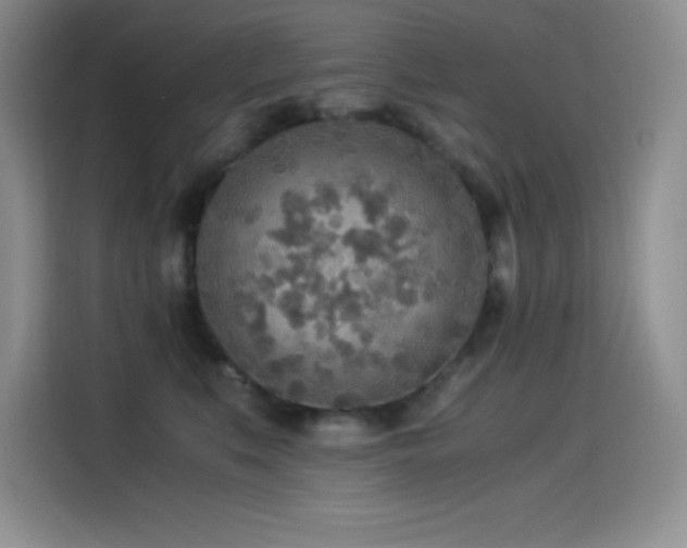 X0000114500519200910191253