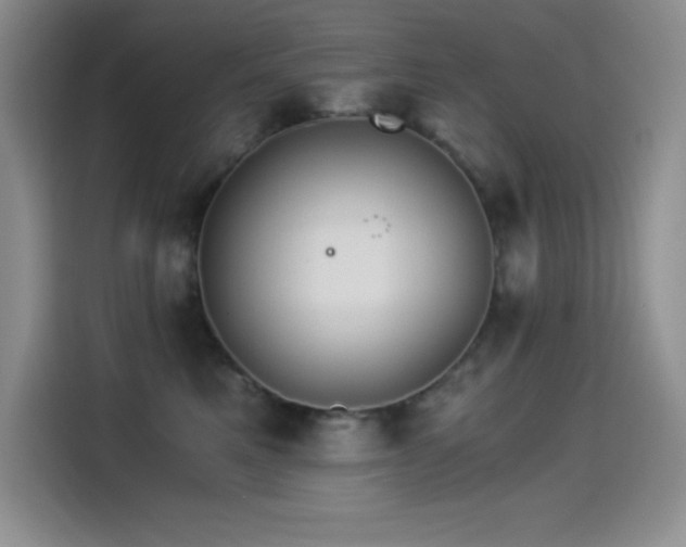 X0000114500521200910191253
